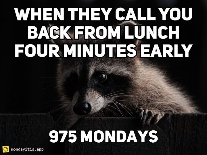 A raccoon peeking over a wooden fence, captioned "When they call you back from lunch four minutes early", with 975 Mondays printed on it